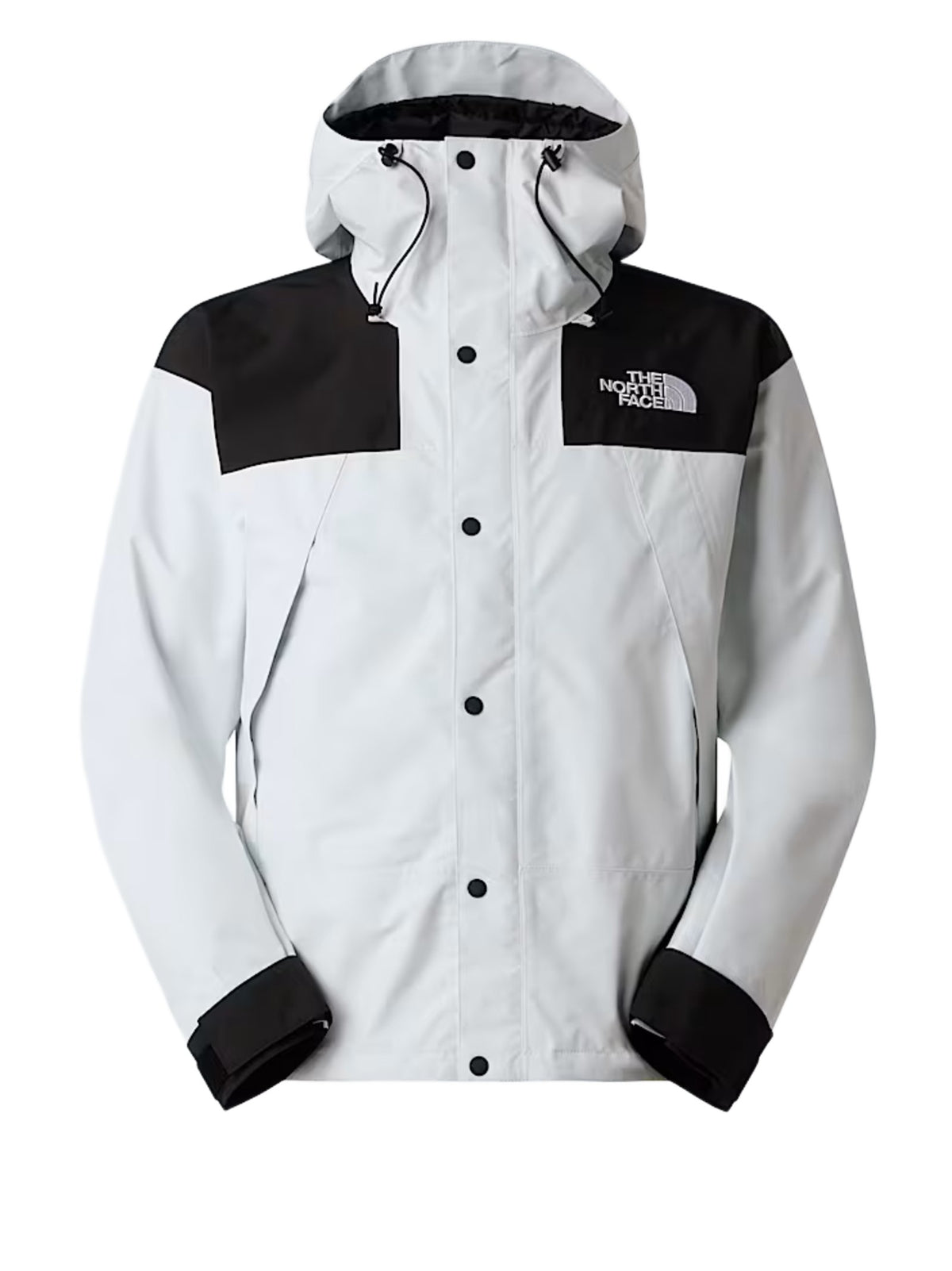 THE NORTH FACE GIACCA MOUNTAIN GORETEX NF0A831M JL61 