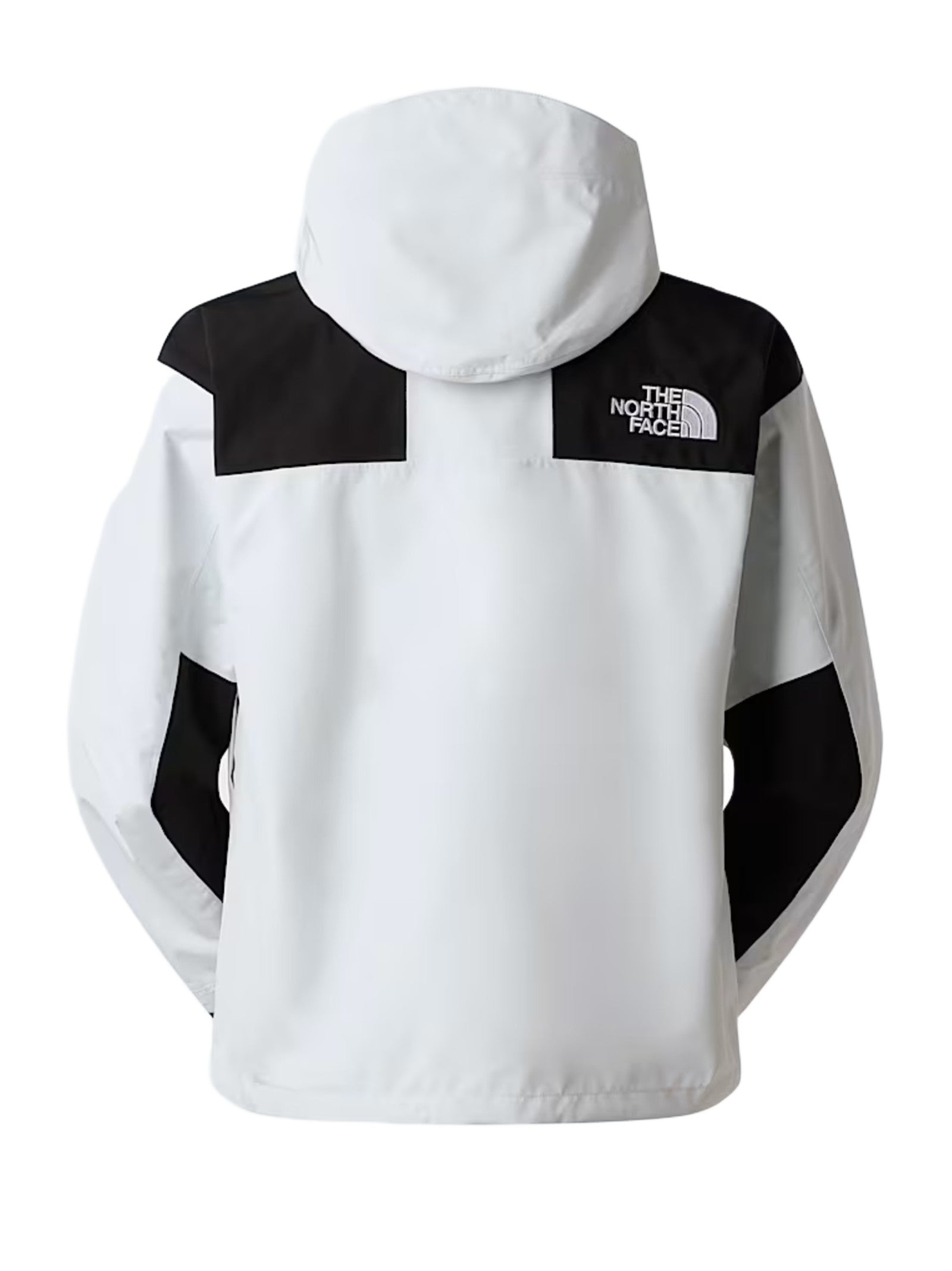 THE NORTH FACE GIACCA MOUNTAIN GORETEX NF0A831M JL61 