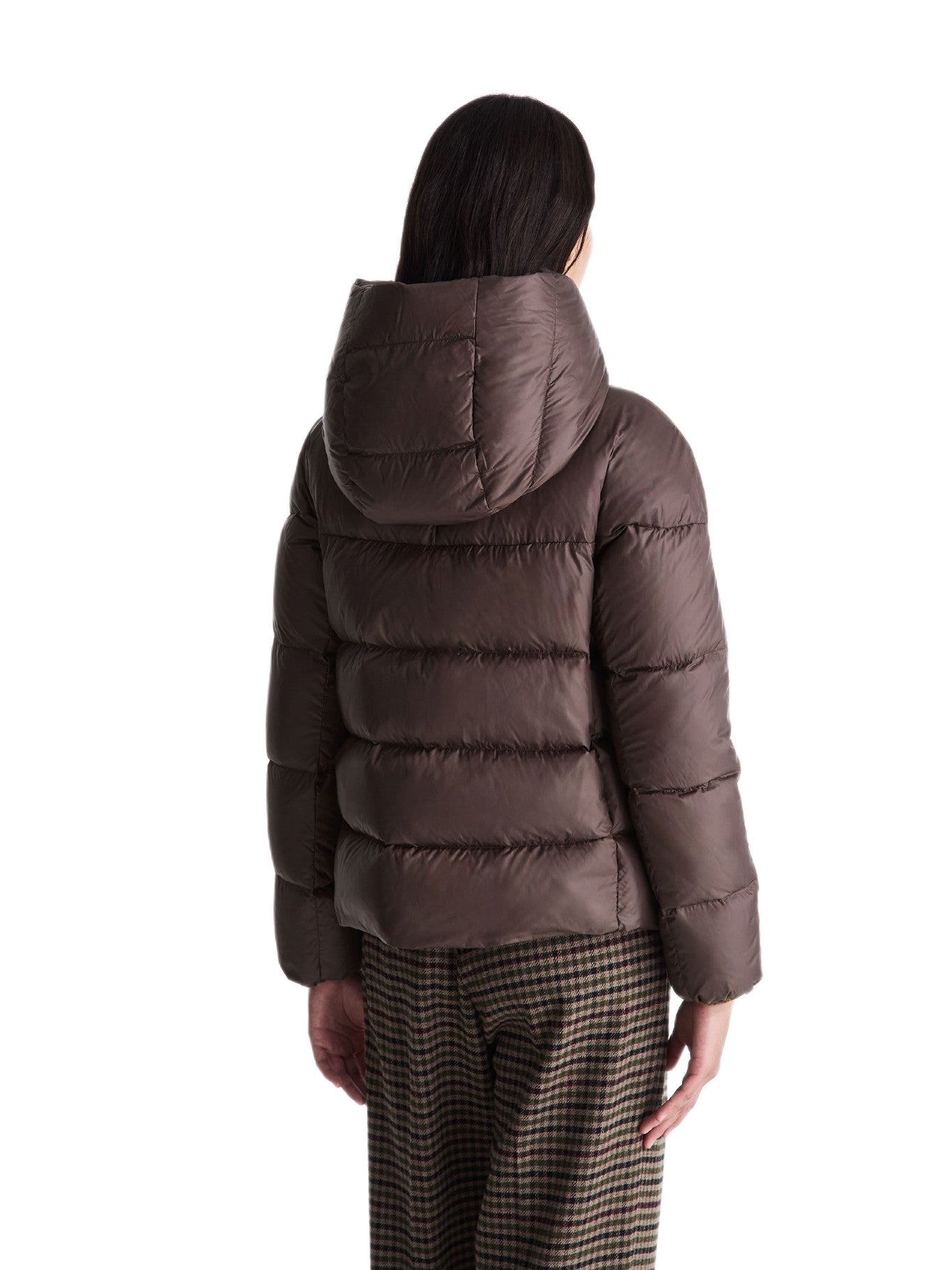 PEUTEREY  PED544001181967 194 