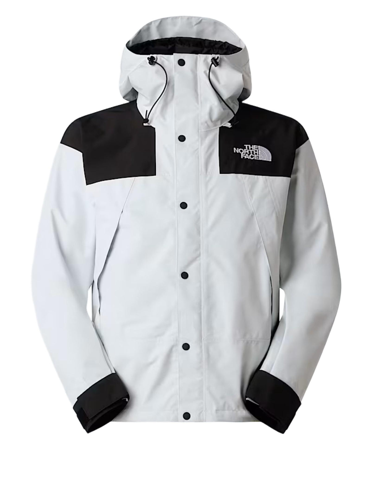THE NORTH FACE GIACCA MOUNTAIN GORETEX NF0A831M JL61 